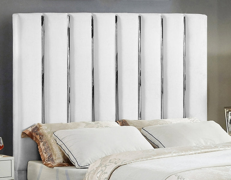 The Chrome Channel Design Features Velvet Bed – IF-5622